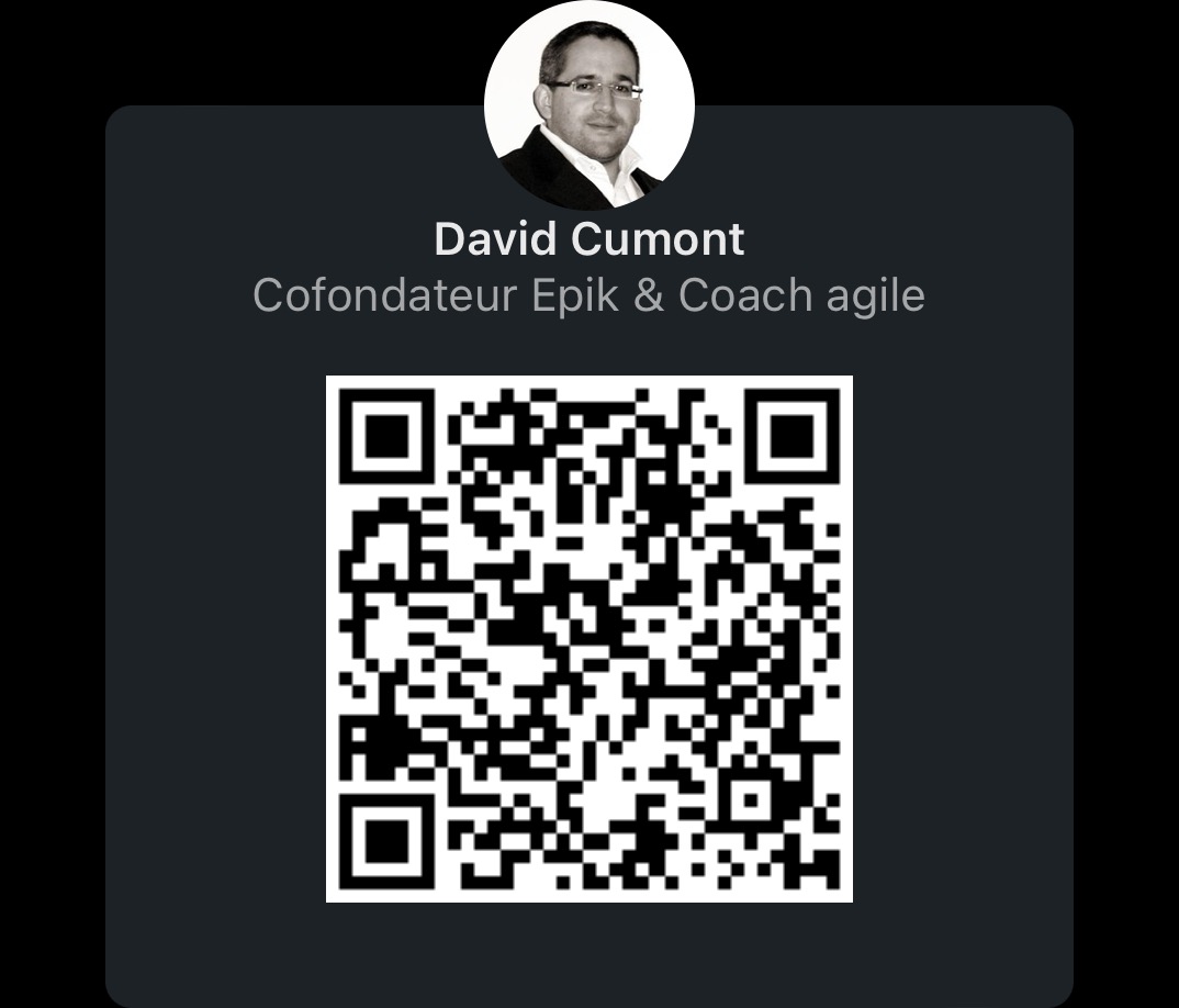 Linkedin David CUMONT